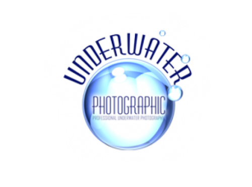 Sualtı Fotoğrafları